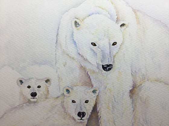 Polar Bear family