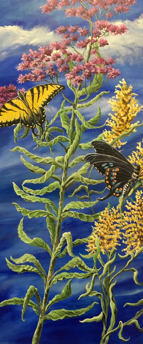 Late Summer Wings by Donna Daniels