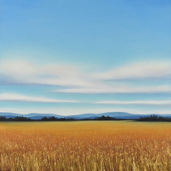 Golden Wheat - Blue Sky Landscape