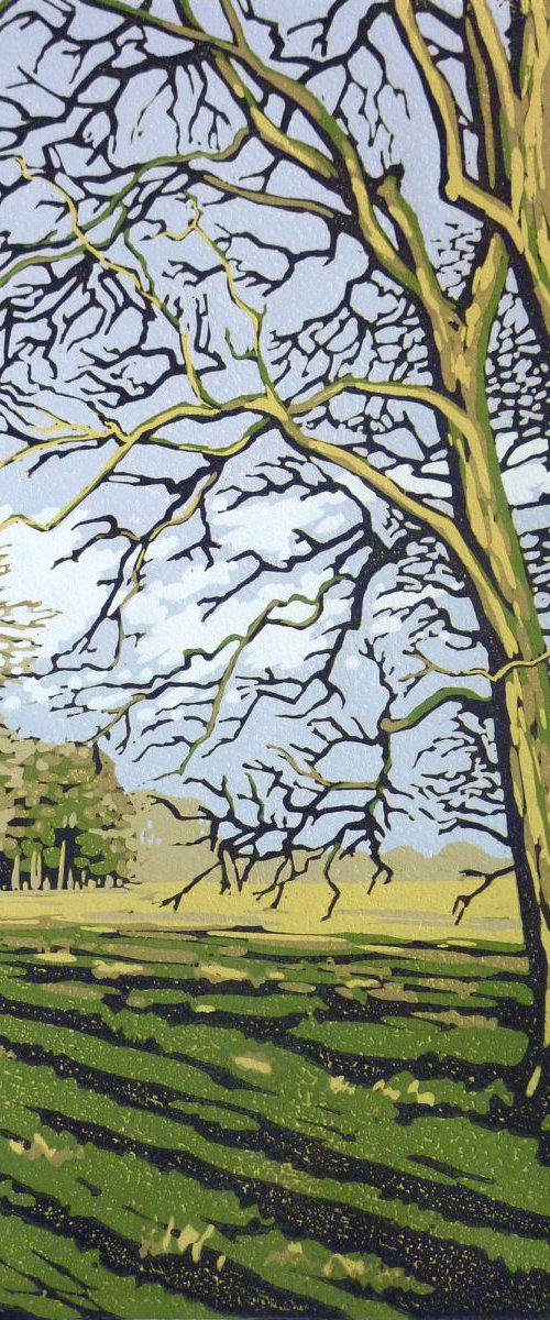 Winter Sun, Stowe by Alexandra Buckle