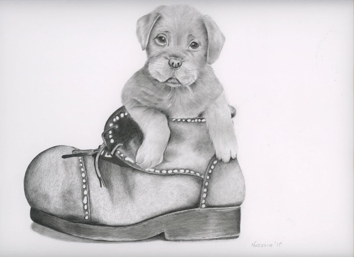 Dog in boot by Maxine Taylor