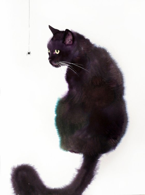Black Cat and Spider