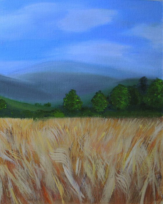 WHEAT FIELD