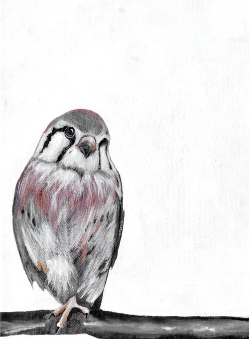 Owl by Nadia Moniatis
