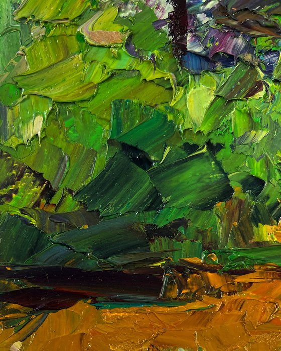 The Road to the Green Dense Forest