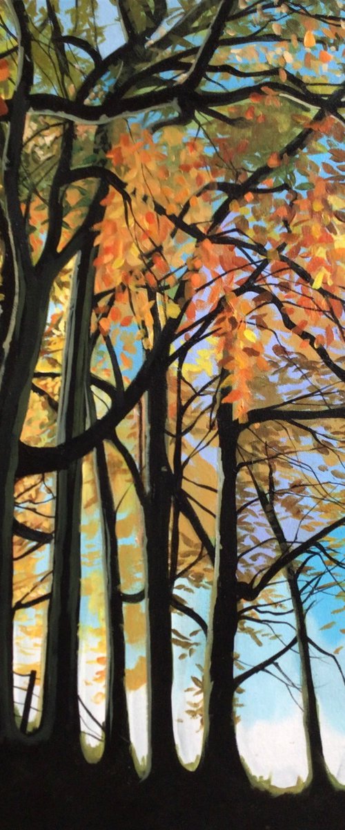 The Beeches At Minnowburn by Joseph Lynch