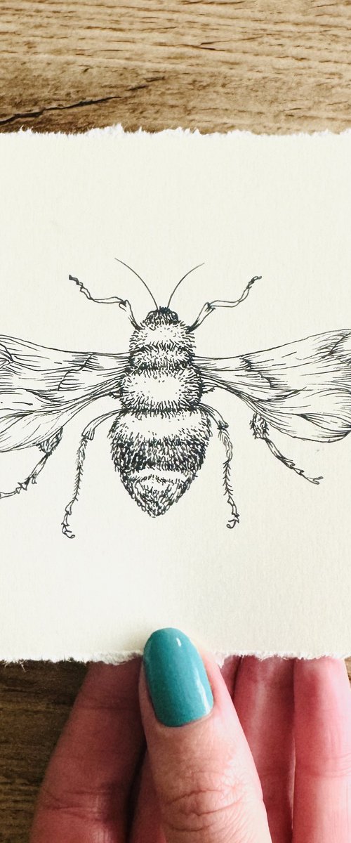 Original Bumblebee Ink Drawing by Kate Mac