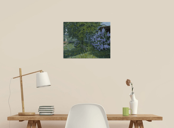 Blooming Lilacs