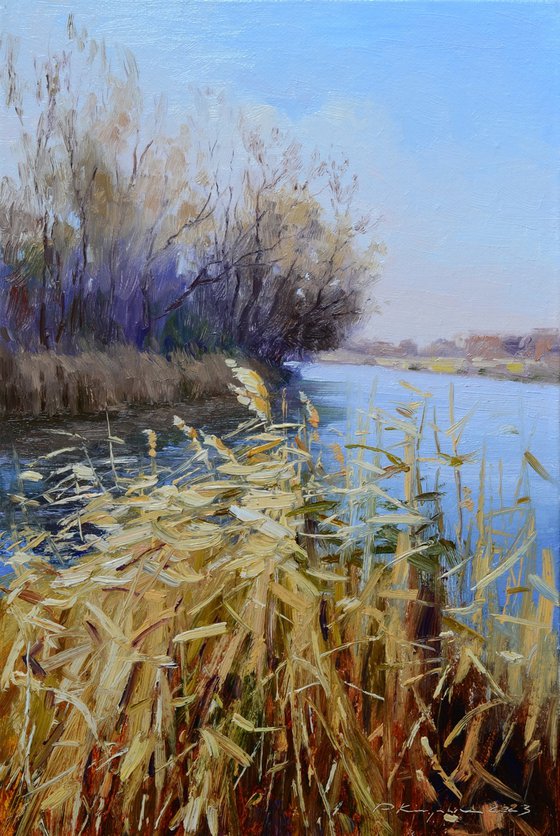 Last year's reeds