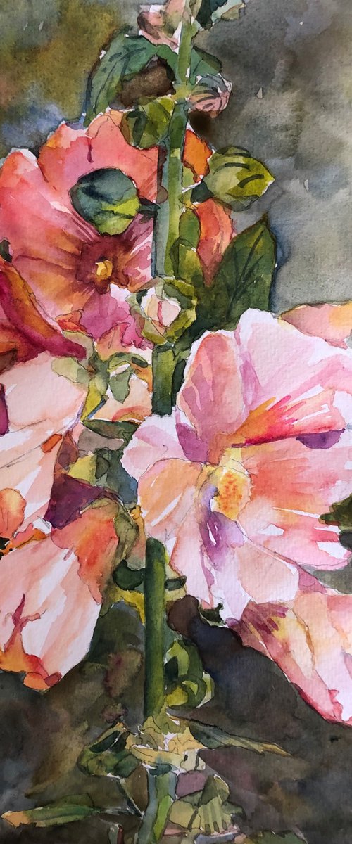 Hollyhocks by Bronwen Jones