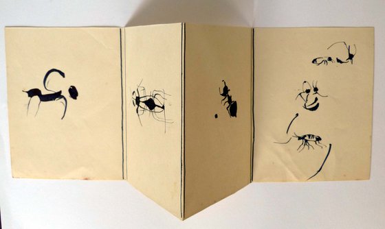 Study of insects, accordion 50x15 cm