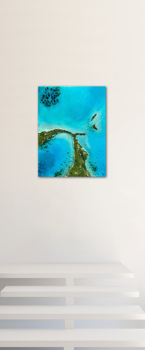 Flying over The Bahamas #1 by Ana Hefco
