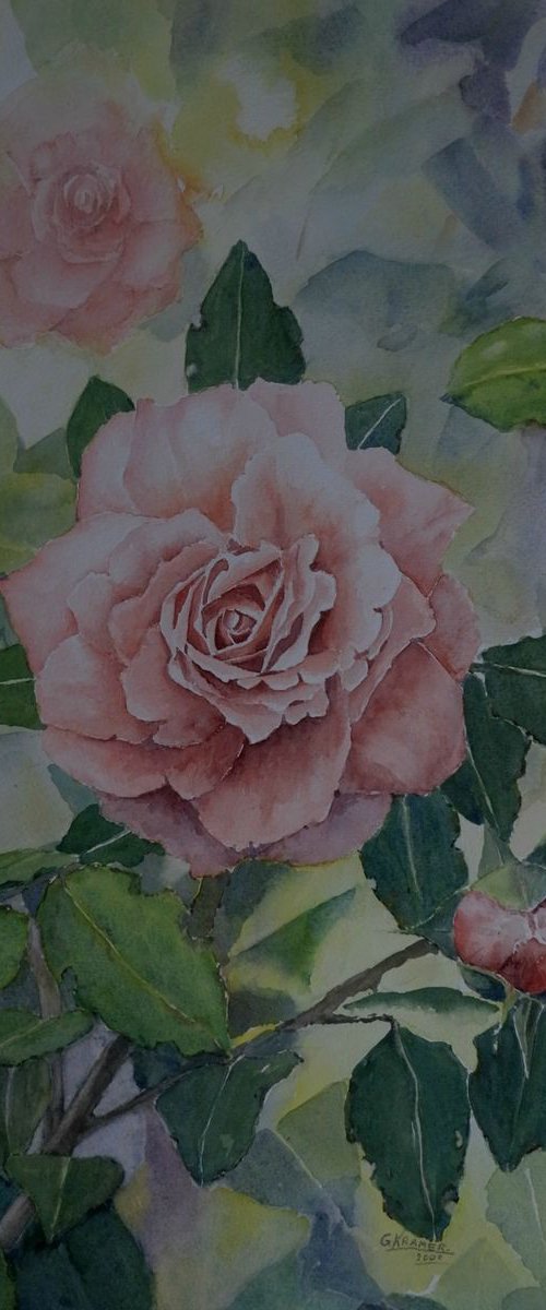 roses by Gerard Kramer