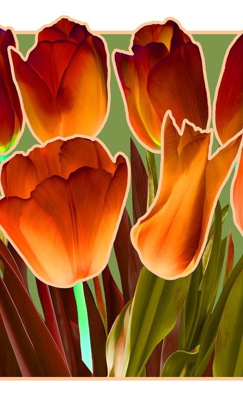 Dark Orange Tulips by Rod Vass