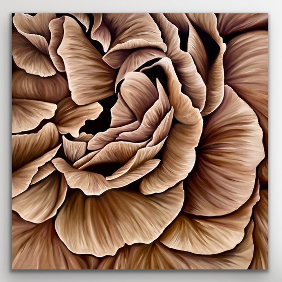 Rose petals