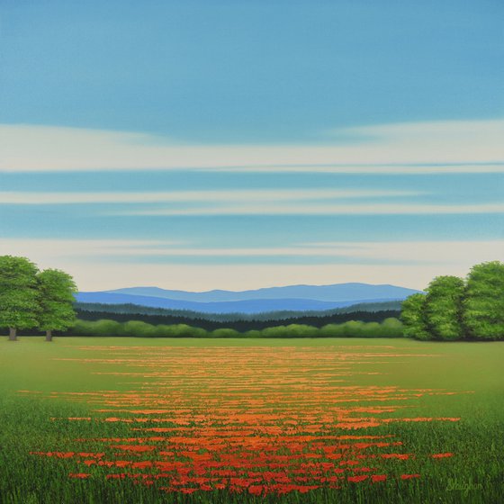 Blue Sky Poppies