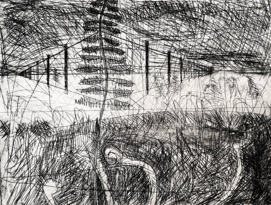 Terminal Frond Etching