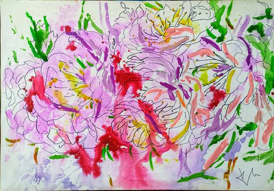 Cosmea
