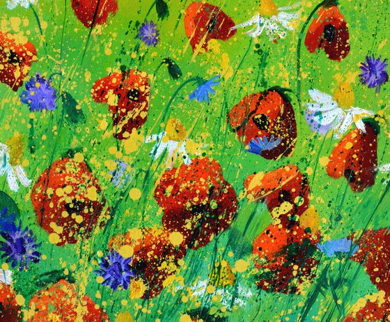 Red poppies 67