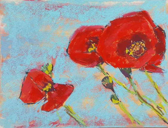 Pretty red poppies