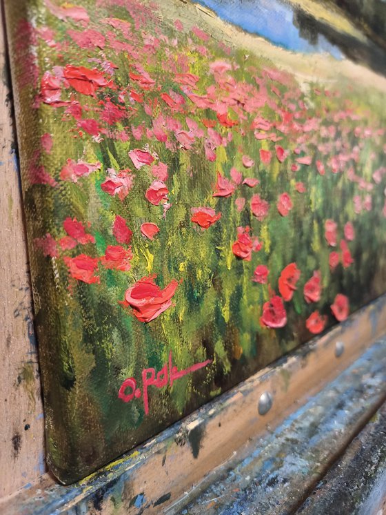 Summer impression. Poppies