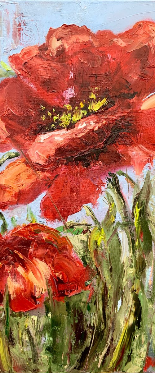 Red Poppy by Alexandra Jagoda (Ovcharenko)
