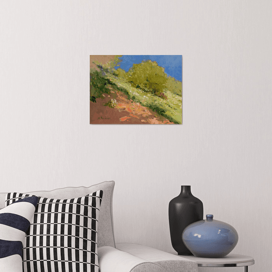 Summer Meadow. HIllside