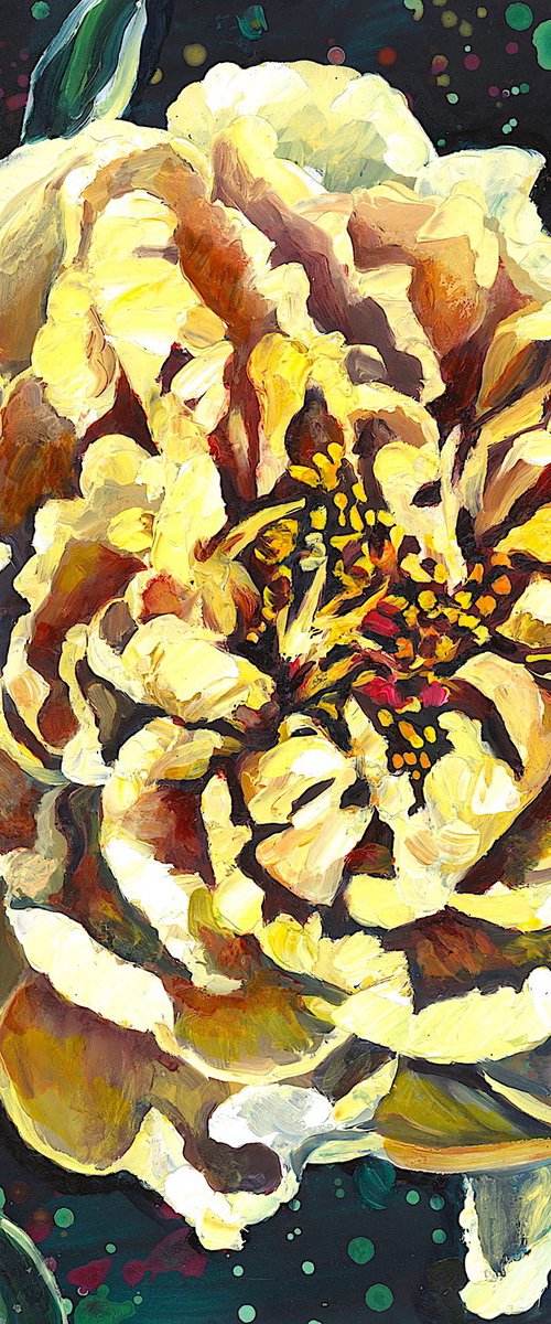 Yellow Peony by Christina M Plichta