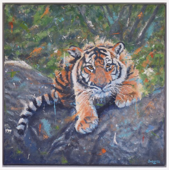 Tiger Cub portrait - expressive animal art - Framed Oil On Canvas