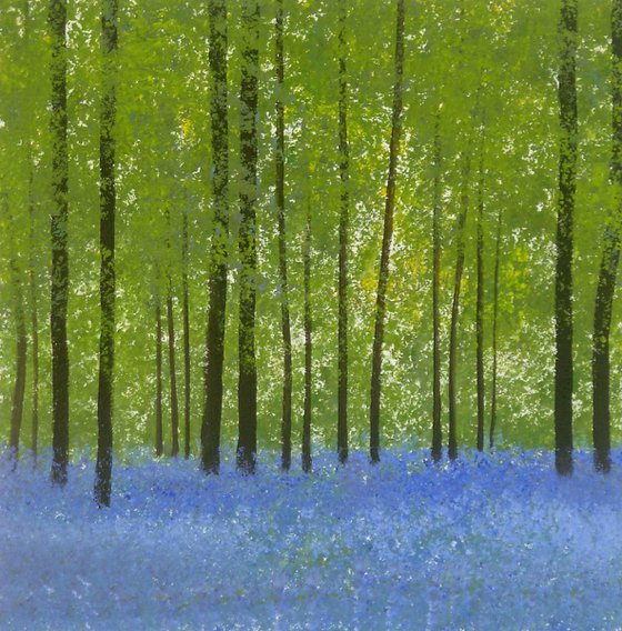 Bluebell Woods 5