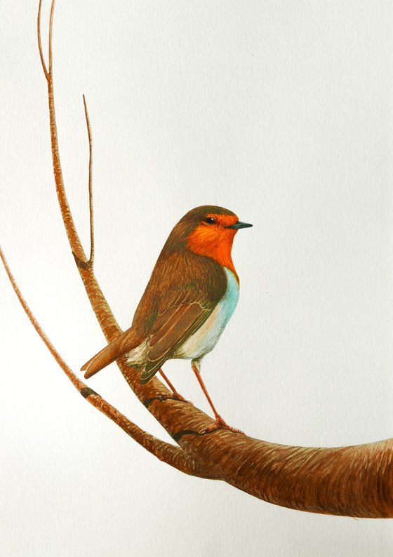 Robin on the magic branch