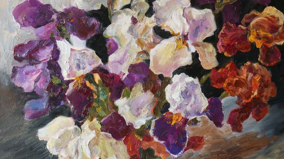 Velvet Iris Symphony