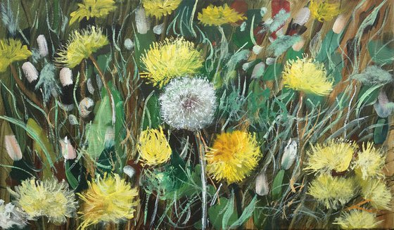 Dandelions 3