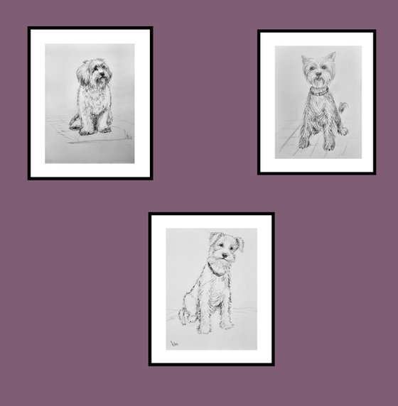 Set of three cute dogs