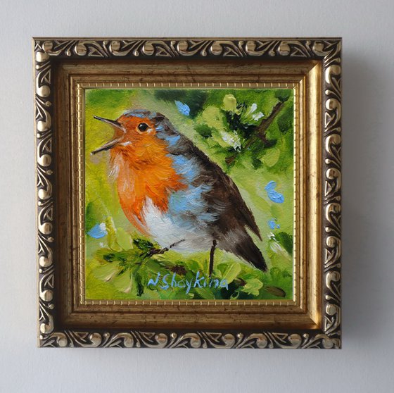 Spring Robin Bird