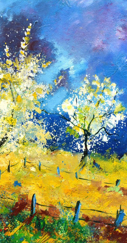 Orchard in spring- 6523 by Pol Henry Ledent