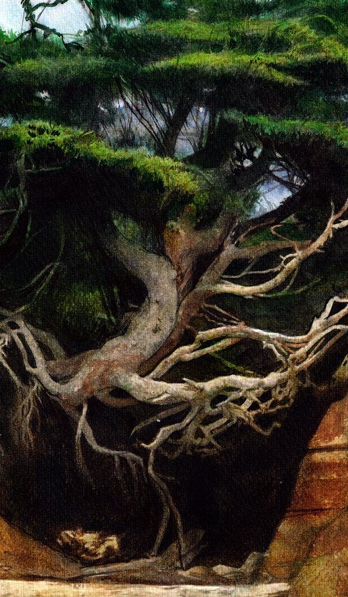 Vitosha Tree by REME Jr.