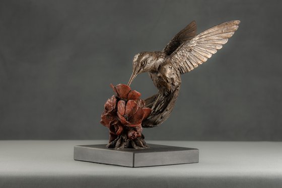 Hummingbird Bronze Resin