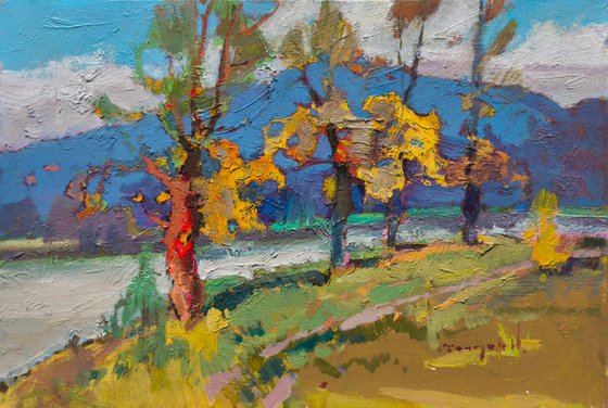 Autumn Colors