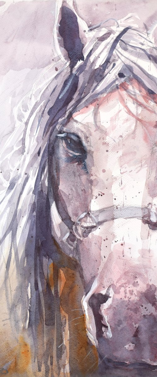 Horse head 6 by Goran Žigolić Watercolors