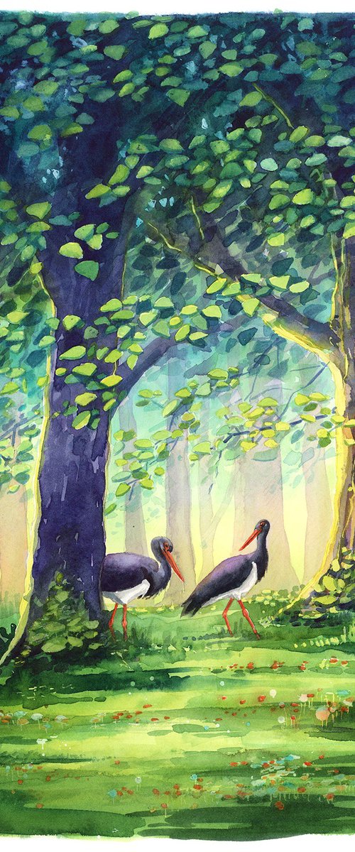 Deep forest with black storks by Karolina Kijak