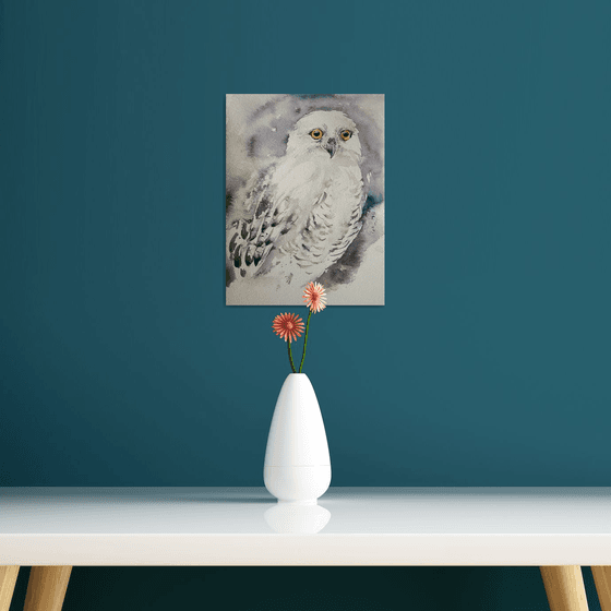 Snowy Owl Shaz