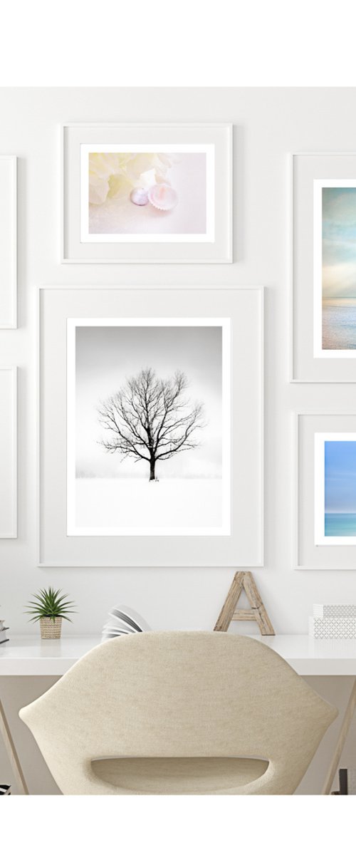 Pastel Dreams - Gallery Wall Print Set by Lynne Douglas