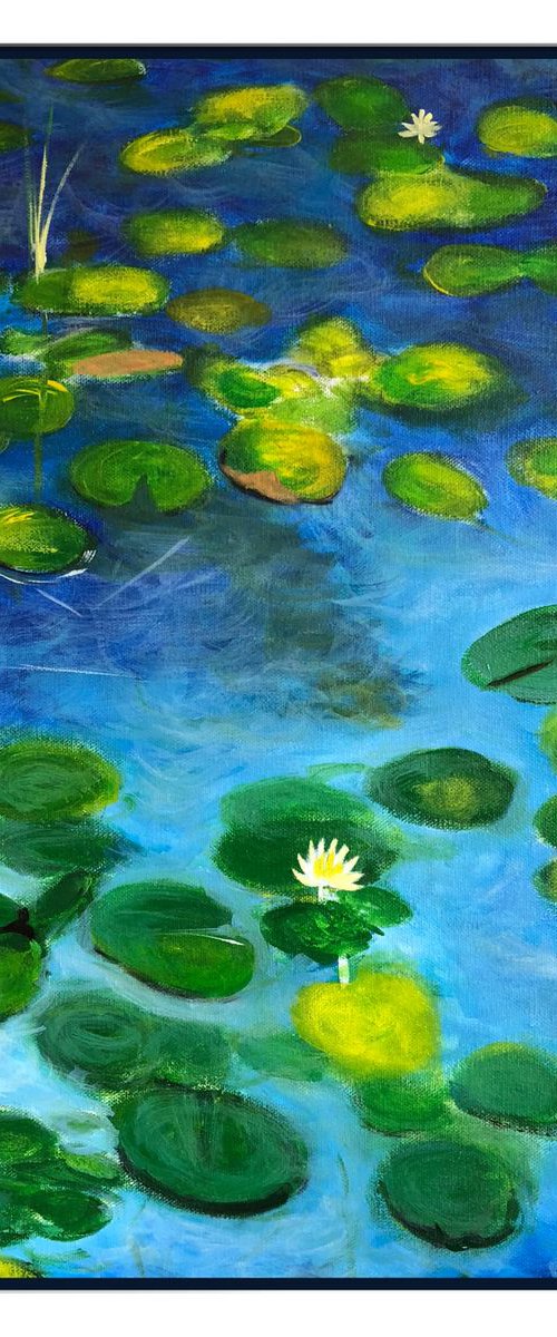 Monets lilies by Shabs  Beigh