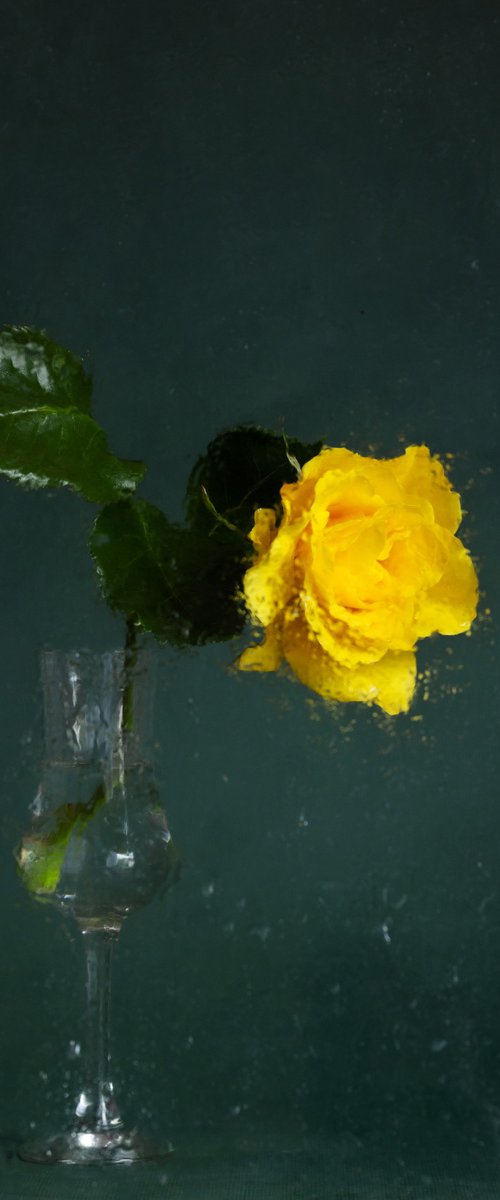 Frozen Yellow by Anna List