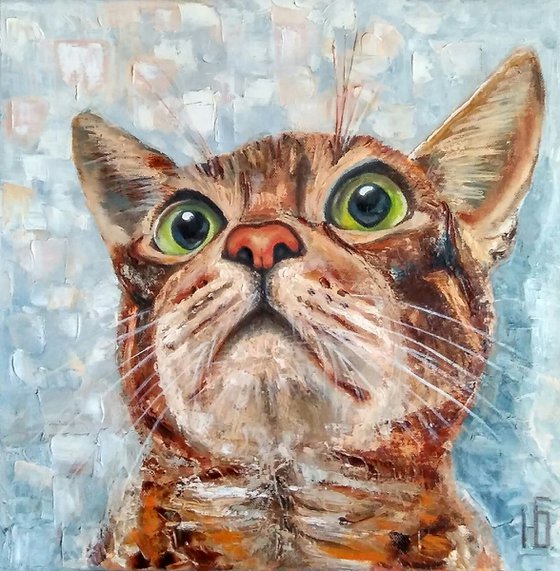Surprised cat, 40x40 cm, ready to hang.
