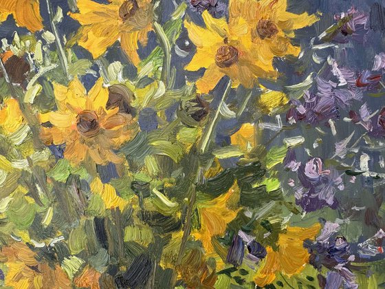 Wild Flowers litted by morning light