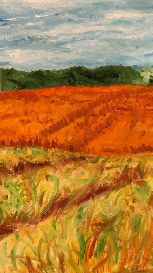 Red Sorghum by Kat X