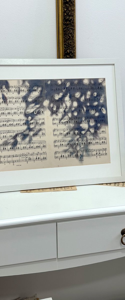 Nature Silhouette Botanical Shadow by Julia Shilo