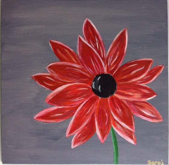 Red Daisy